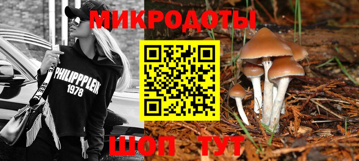 Галлюциногенные грибы прущие грибы  Вход с VPN  Баксан 