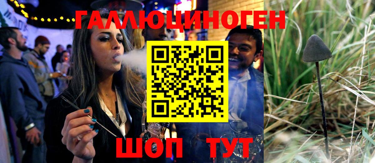 Галлюциногенные грибы Psilocybine cubensis Баксан